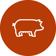 Farrowing sheds